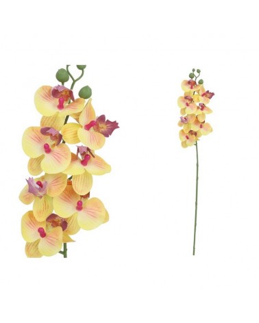 ORQUIDEA R/TOUCH 60cm