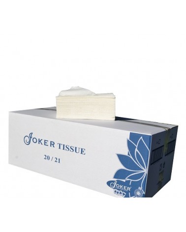 TOALHA MAO 20x21 TISSUE SIMPLE 20M (2600)