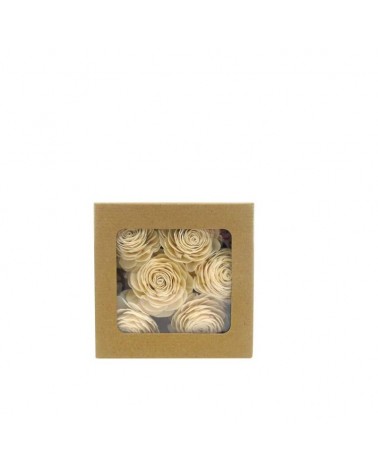 FLOR SECA- CAIXA C/6 "RANUNCULOS" CREME 19CM