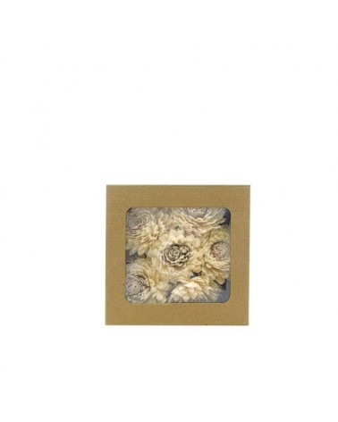 FLOR SECA- CAIXA C/6 "DALIAS" CREME 19CM