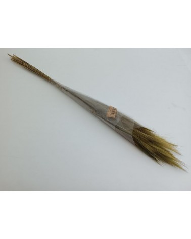 FLORIBERIA- FOX GRASS 70CM REF.326.69