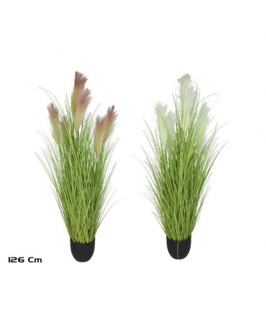 VASO PAMPAS GRAMA 126cm