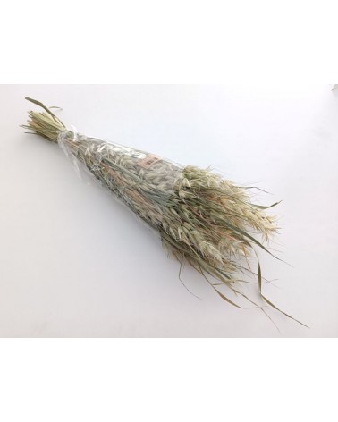 FLORIBERIA- AVENA SALVAJE 80CM REF. 025.04