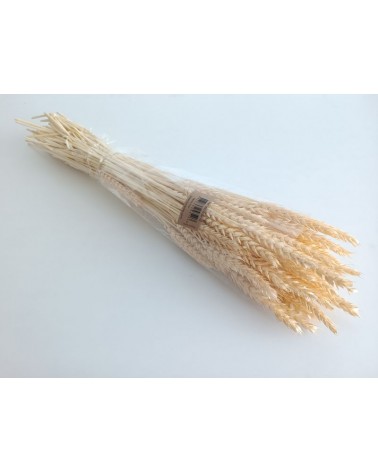 FLORIBERIA- TRIGO FLO 80CM REF. 016F10