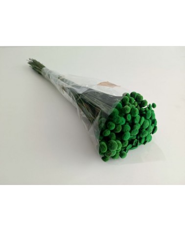 FLORIBERIA- BOTAO 45CM REF. 027.067