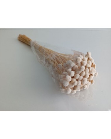 FLORIBERIA- BOTAO 45CM REF. 027.00