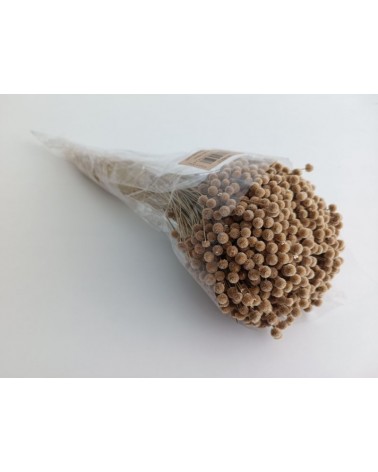 FLORIBERIA- BOTAO MINI 50CM REF. 688-01