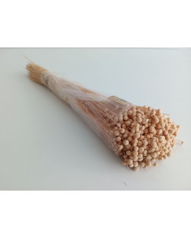 FLORIBERIA- BOTAO MINI 50CM REF. 688-30