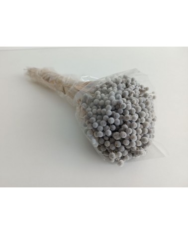 FLORIBERIA- BOTAO MINI 50cm REF. 688-91