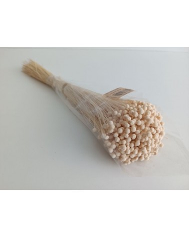 FLORIBERIA- BOTAO MINI 50CM REF.688.00