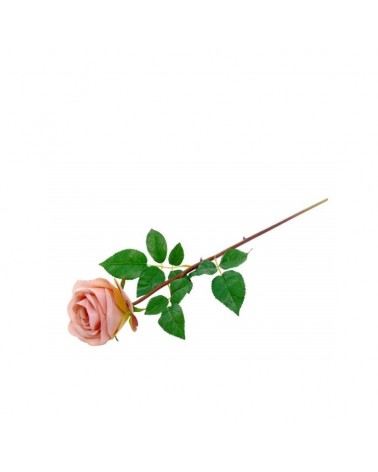 PE ROSA COR ROSA 74cm