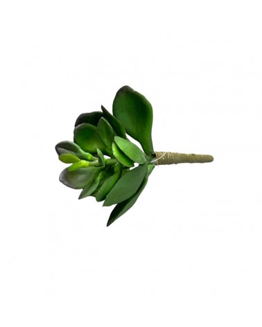 CACTUS 17CM