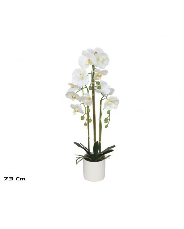 VASO ORQUIDEAS 73cm