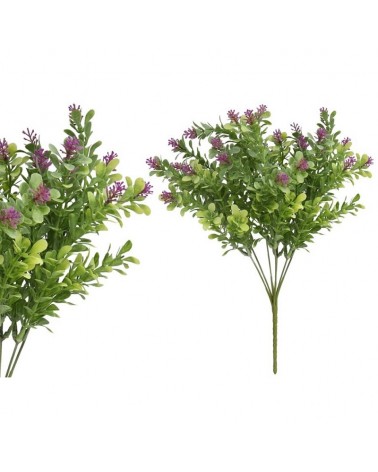 LAVANDA X7 36cm