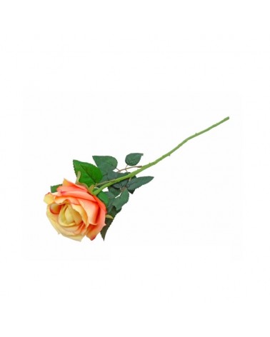 PE DE ROSA AMARELO/ROSA 54cm