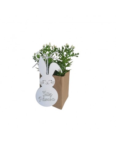 MADEIRA- COELHO P/PENDURAR 5.5X12CM