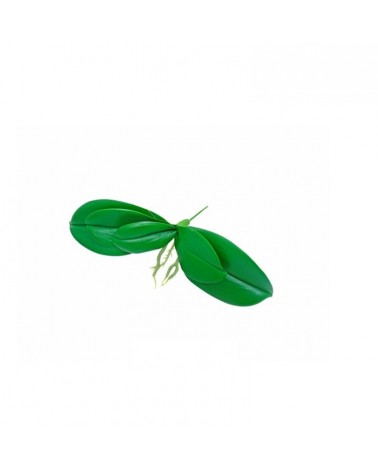 PE FOLHAGEM ORQUIDEA VERDE 25cm