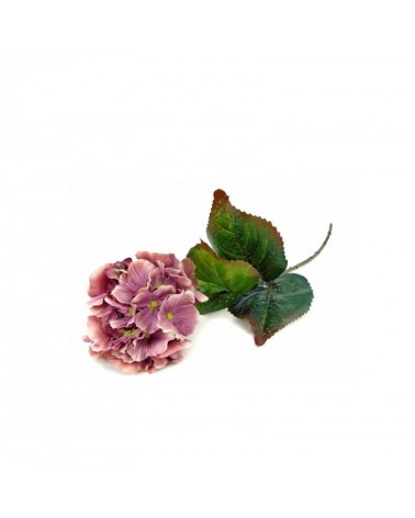 PE HORTENSIA 