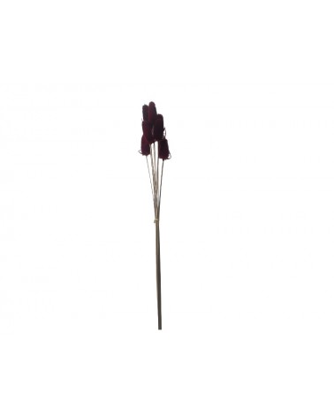 FLORIBERIA- CARDO TALLO 100cm 007.59