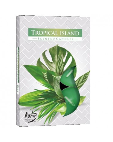 TEALIGHT PERF.CX6 ILHA TROPICAL TP15-274
